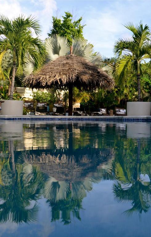 Bananas Apartments Adults Only Palm Beach Extérieur photo
