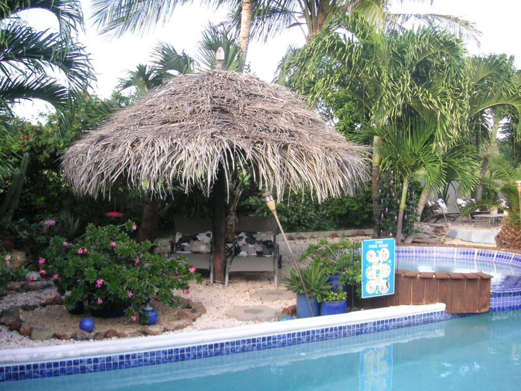 Bananas Apartments Adults Only Palm Beach Extérieur photo