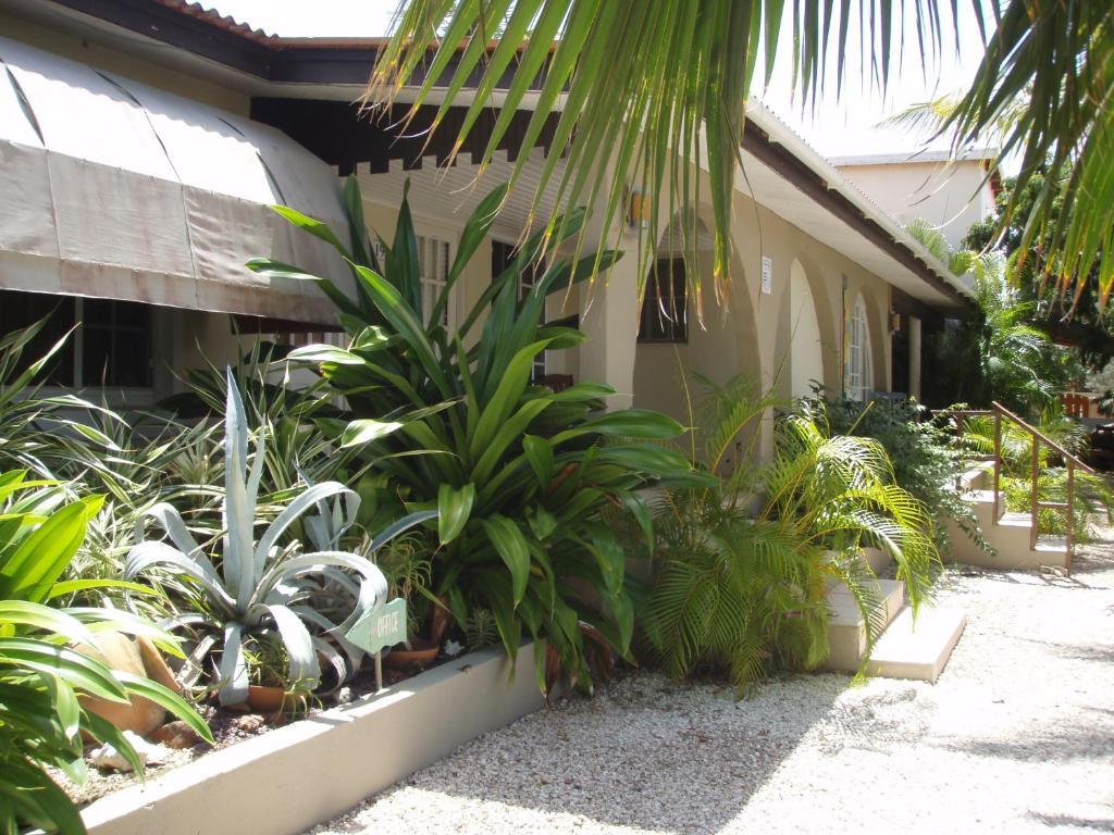 Bananas Apartments Adults Only Palm Beach Extérieur photo