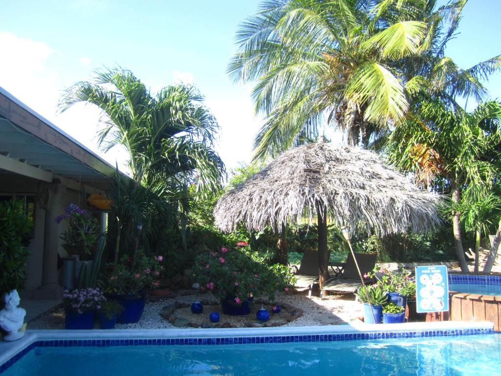 Bananas Apartments Adults Only Palm Beach Extérieur photo