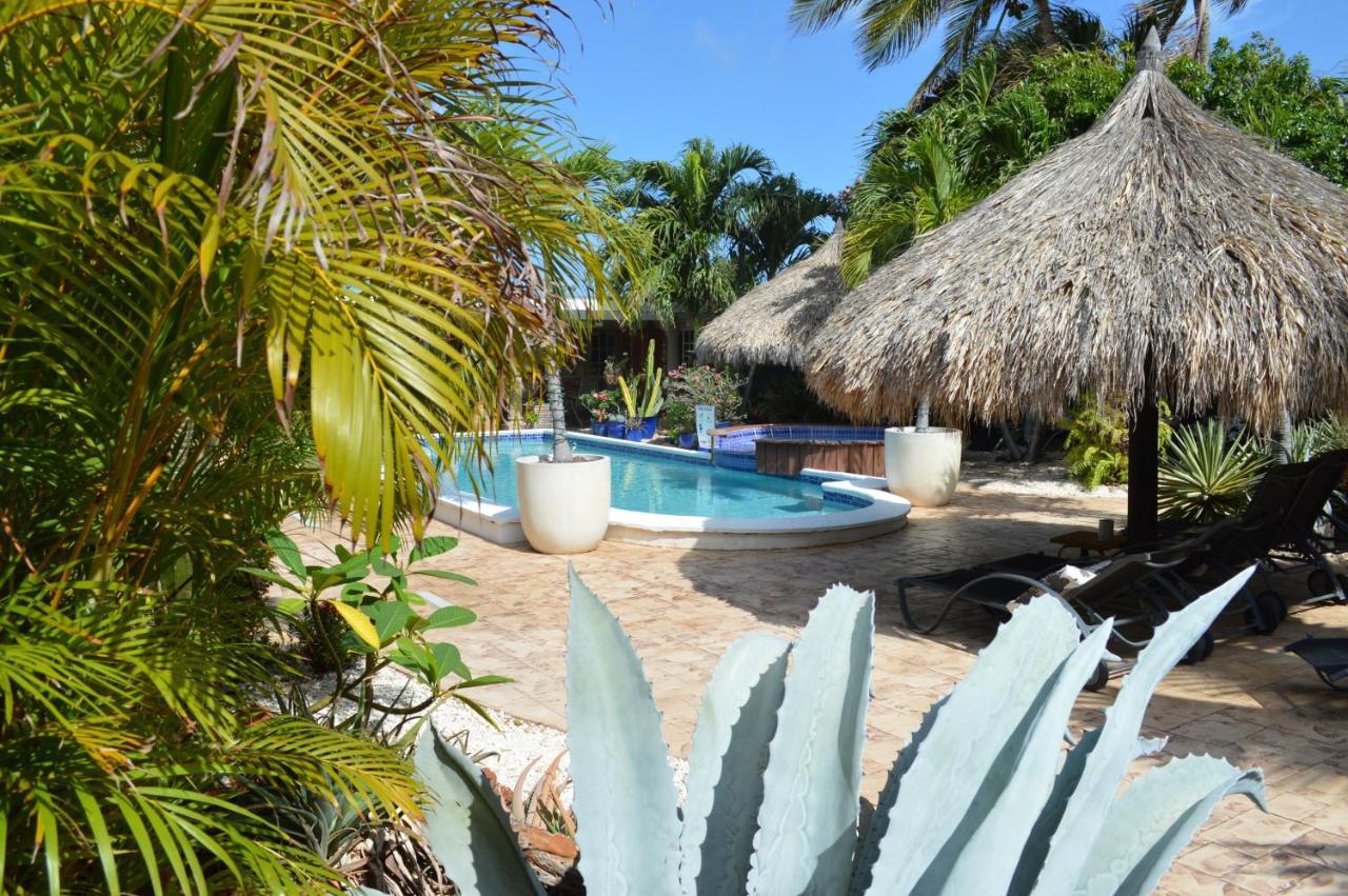 Bananas Apartments Adults Only Palm Beach Extérieur photo
