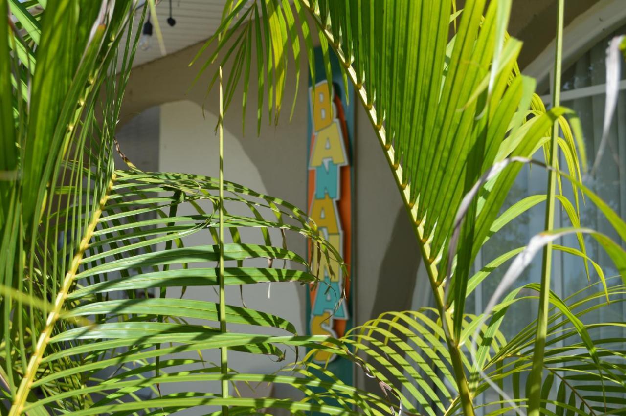 Bananas Apartments Adults Only Palm Beach Extérieur photo